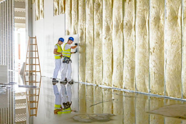 Best Residential Insulation in North Kensington, MD